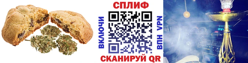 Canna-Cookies марихуана  omg   Новочеркасск  что такое  