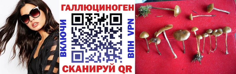 Галлюциногенные грибы мицелий Новочеркасск