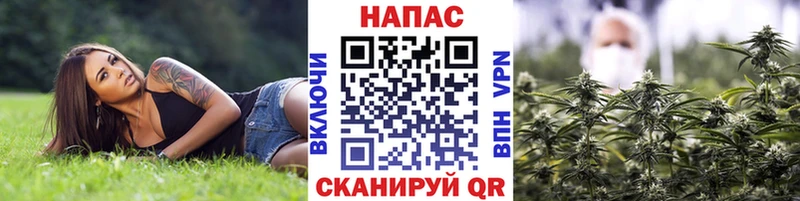 Конопля White Widow  где найти   Новочеркасск 